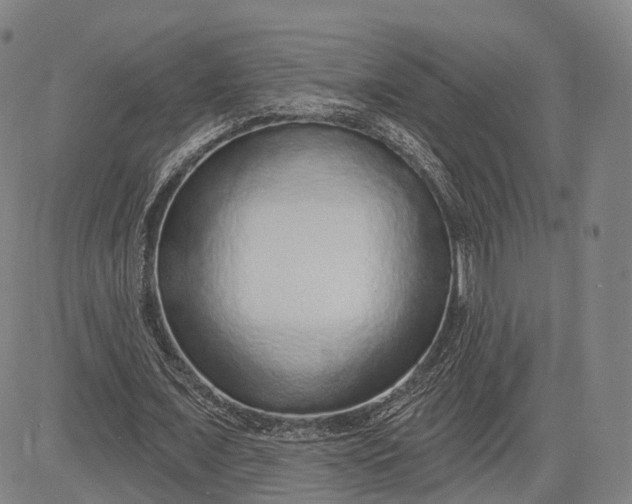 X0000083050675200702161732