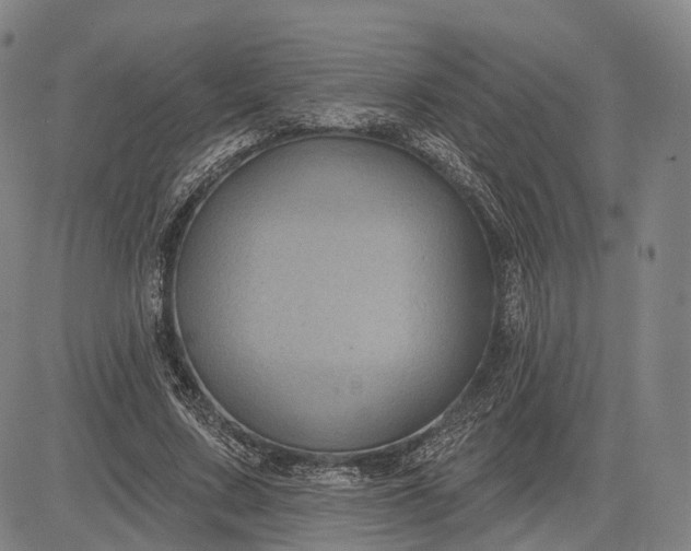 X0000083050683200702161732