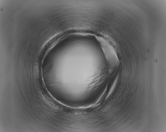 X0000083050684200702161732