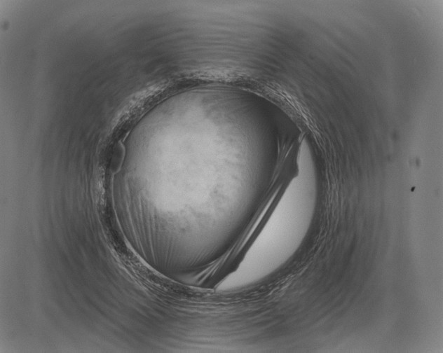 X0000083050688200702161732