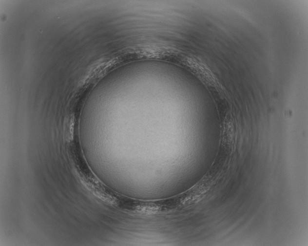 X0000083050694200702161732