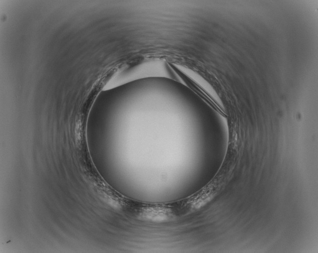 X0000083050708200702161731