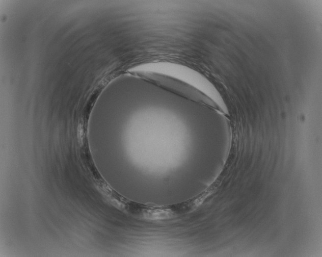 X0000083050716200702161731