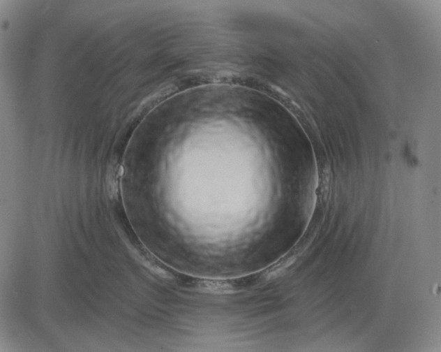 X0000083050719200702161731