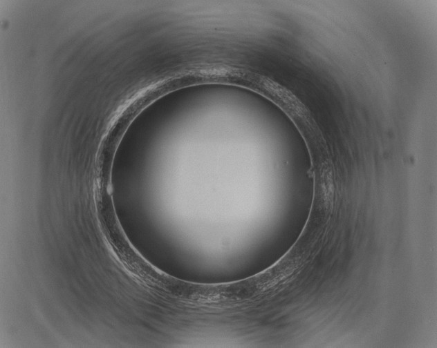 X0000083050728200702161731