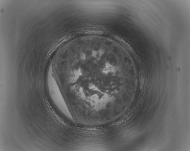 X0000083050729200702161731