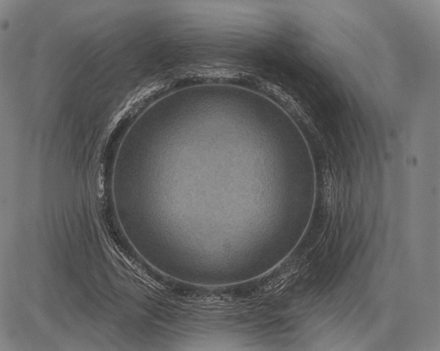 X0000083050731200702161731