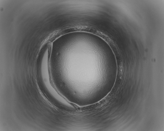 X0000083050734200702161731