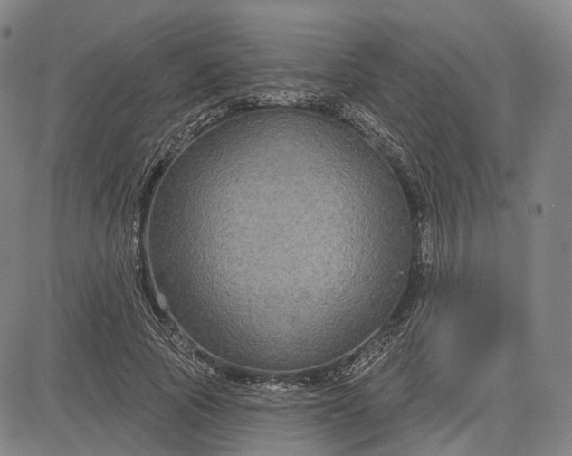 X0000083050737200702161731