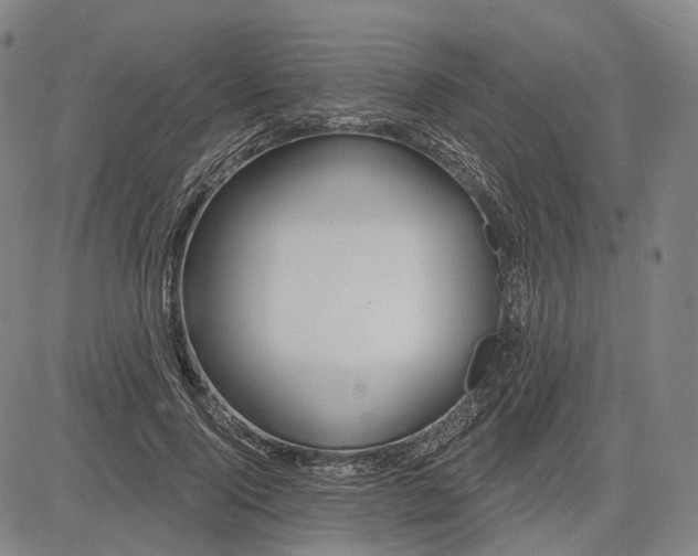 X0000083050740200702161731