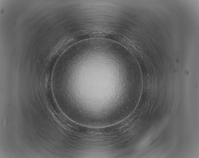 X0000083050742200702161731