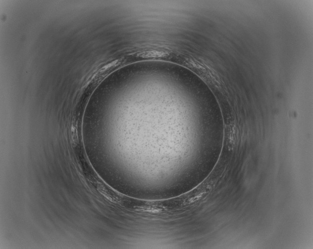 X0000083050743200702161731