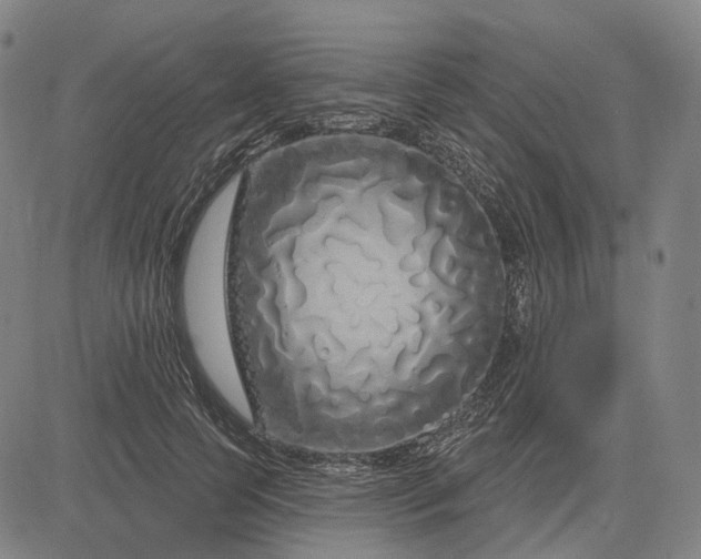 X0000083050745200702161731