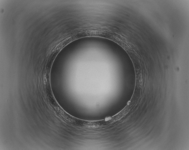 X0000083050746200702161731