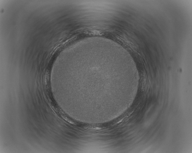 X0000083050747200702161731