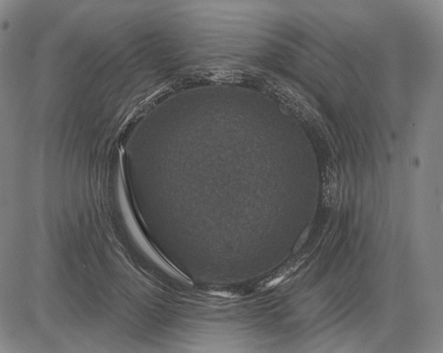 X0000083050748200702161731