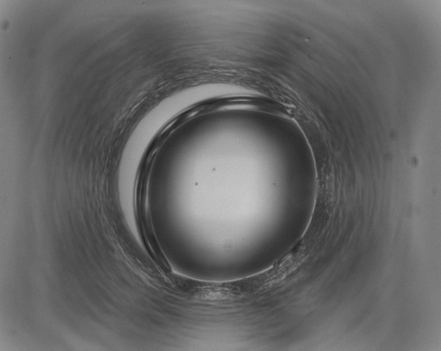 X0000083050750200702161731