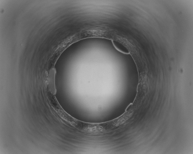 X0000083050752200702161731