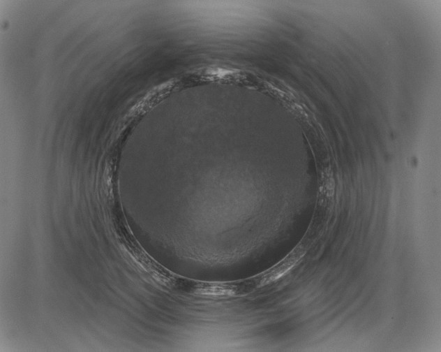 X0000083050754200702161731