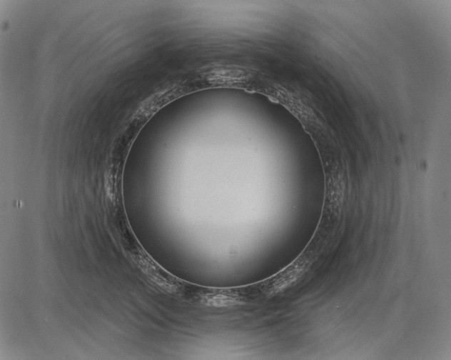 X0000083050755200702161731