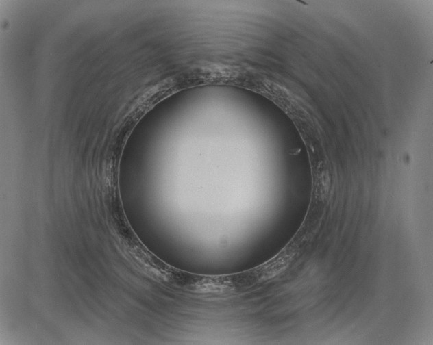 X0000083050756200702161731