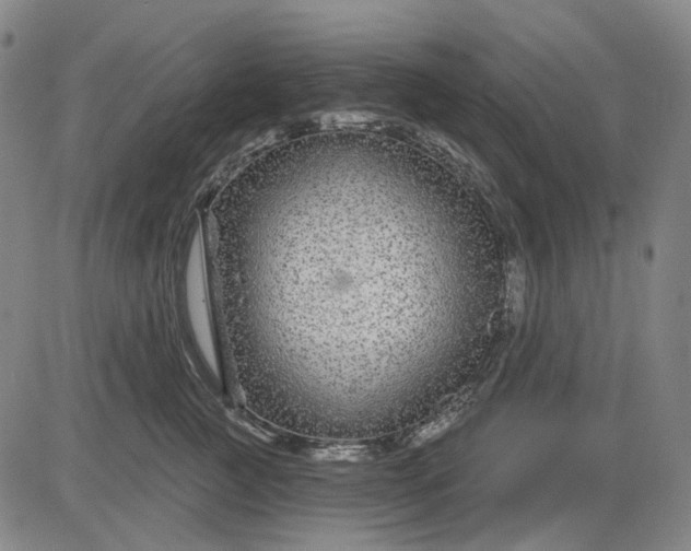 X0000083050761200702161731