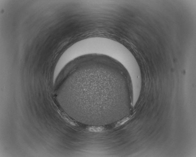 X0000083050762200702161731