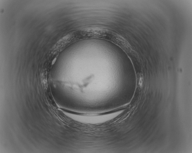X0000083050771200702161730