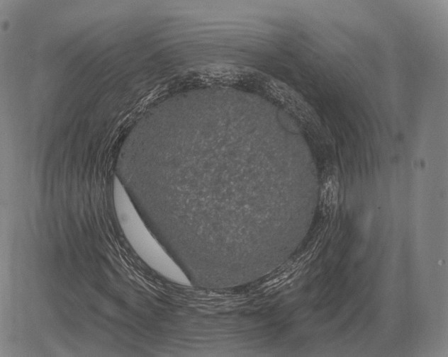 X0000083050772200702161730