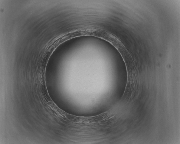 X0000083050773200702161730