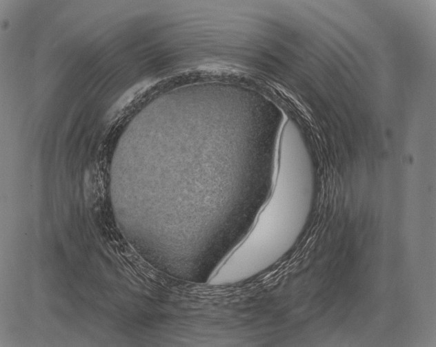 X0000083050776200702161730