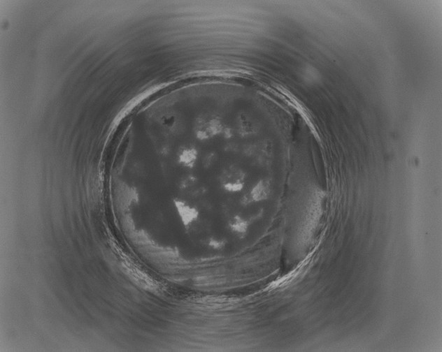 X0000083050779200702161730