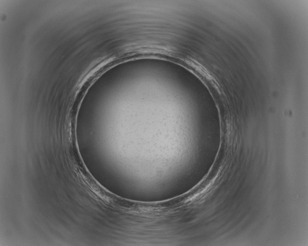 X0000083050782200702161730