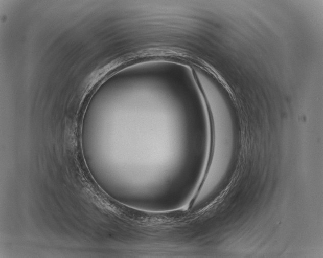 X0000083050786200702161730