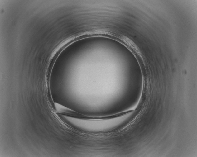 X0000083050789200702161730