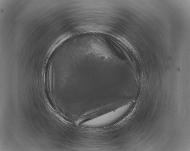 X0000083050790200702161730