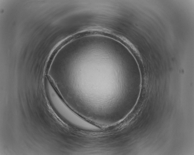 X0000083050791200702161730