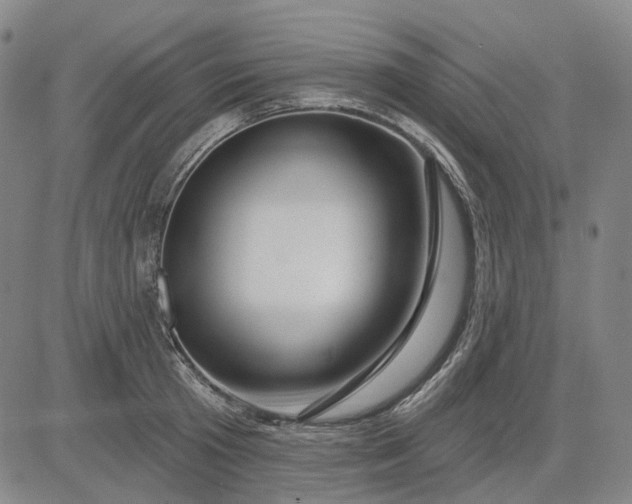 X0000083050801200702161730