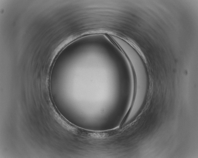 X0000083050805200702161730