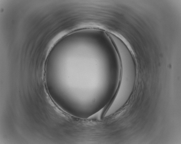 X0000083050815200702161730