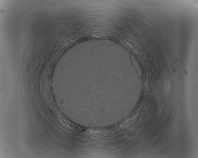 X0000083050817200702161729