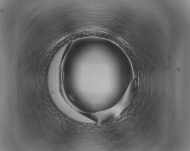 X0000083050822200702161729