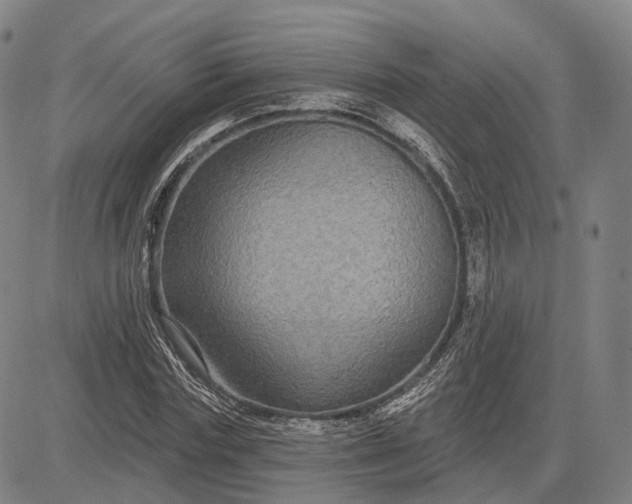 X0000083050827200702161729