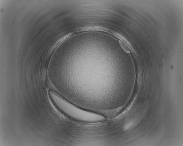 X0000083050849200702161729