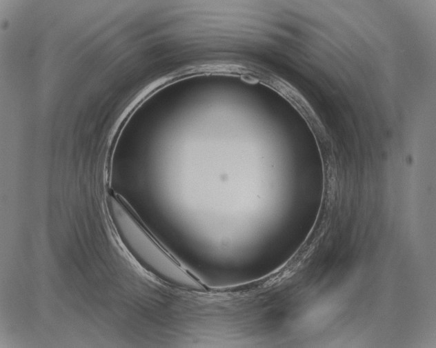 X0000083050852200702161730