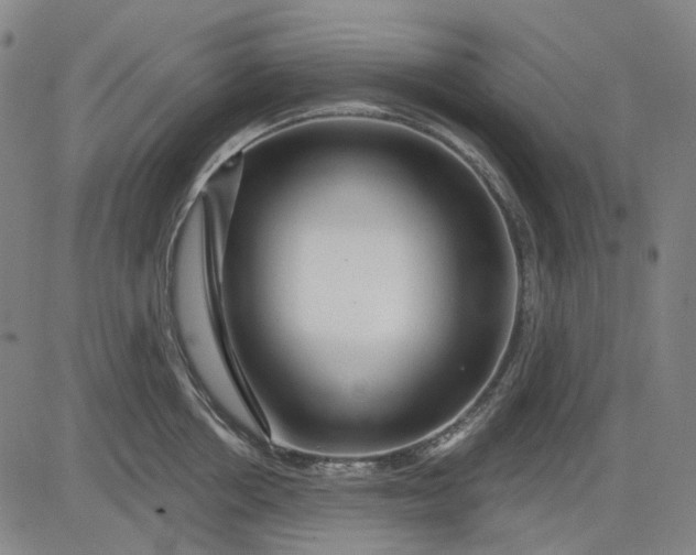 X0000083050858200702161730