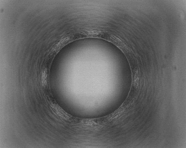 X0000083050866200702161729