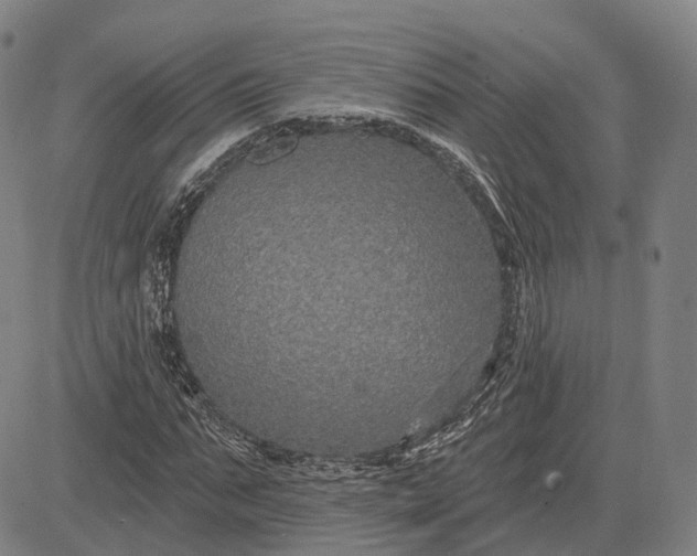 X0000083050871200702161729