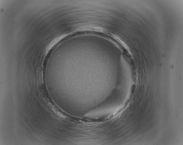 X0000083050877200702161729