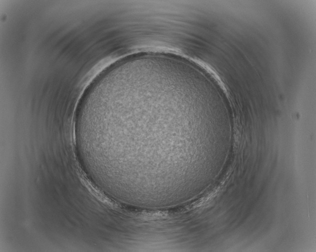 X0000083050887200702161729